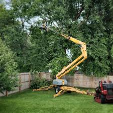 Best Tree Preservation Services  in Riverse, ID