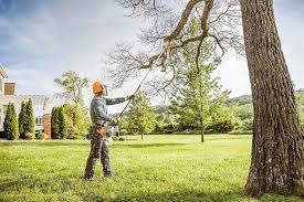 Best Tree Disease Treatment  in Riverse, ID